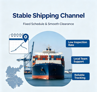 Service de logistique DDP Chine Asie du Sud-Est : Expédition porte-à-porte rapide, stable et économique LCL + Express – Transitaire Mingguang