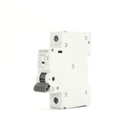 LEEYEE Seguridad Mini Disyuntor 6KA 240/415V AC 32A Proveedores de China B C D Tipo MCB Precio
