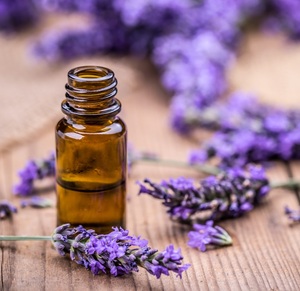 100% Pure & Natural <b>Lavender</b> Essential Oil for <b>Diffuser</b>, Skin, Hair & Relaxation | Bulk Wholesale & Private Label OEM Available - Product Image 5