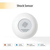 Tranrule Tuya Sensor Getaran Detektor Guncangan Alarm Anti Maling Pintu Jendela Kontrol Aplikasi Anti Maling Daya Tahan Baterai 2 Tahun Rumah Pintar