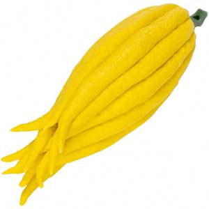 Bergamot Creative Ceramic Incense Sticks Burner Incense Burner for Teahouse Aromatherapy Indoor Buddhist Mood - Product Image 6