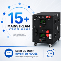 Caja de Batería DIY Lifepo4 de 48V, Compatible con Inversores Comunes, Accesorios Completos, Stock en Polonia y la UE, Marca Paragon