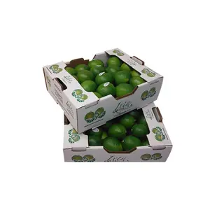 Custom Logo Tomato Fruit Packing Boxes Fruit Corrugated Paper Carton