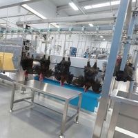 Ligne d'abattage de volailles conteneurisée 300-500 BPH, équipement d'abattoir mobile pour petit abattoir
