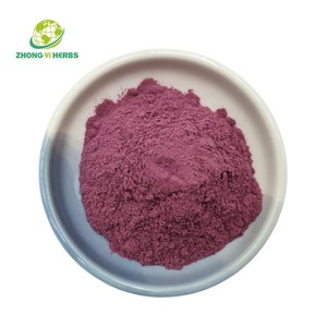 ブラックカラント粉末ブラックカラントエキス<span class=keywords><strong>25%</strong></span> アントシアニン供給 - Product Image 2