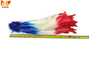 Proveedor Líder ZPDECOR, Venta al por Mayor de Plumas de <span class=keywords><strong>Gallo</strong></span> Teñidas en Dos Colores de 30-35 cm para Diseño de Disfraces de Carnaval - Product Image 6