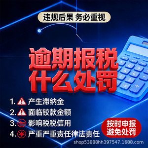 Servicios de Rendir Informes Fiscales para Contribuyentes Generales, Contabilidad Transfronteriza en el Distrito de Tianhe, Guangzhou, Reembolsos de Impuestos, Servicios de Cumplimiento del Comercio Electrónico - Product Image 4