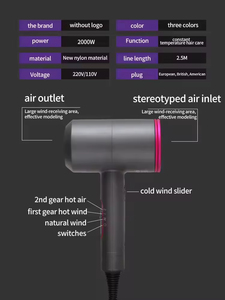 Secador de Pelo Profesional de 2000W con Iones Negativos, Secador de Pelo Doméstico para Regalo - Product Image 4