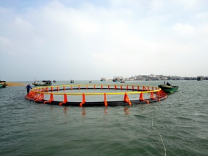 Jaula Circular Resistente al Viento para Cultivo de Peces, Juego Completo de Jaula de Red Flotante para Acuicultura en Alta Mar - Product Image 2