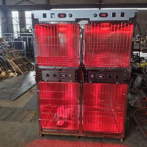 Lámpara de Fisioterapia Infrarroja Osum para Perros y Gatos con LED de Alta Eficiencia y Alimentación por CC para Uso en Hospitales Veterinarios y UCI - Product Image 6