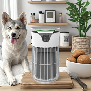 Penjernih Udara Plastik Modern Standar Rumah Sakit untuk Hewan Peliharaan, Menghilangkan 99,97% Alergen, Bersertifikat CE/ROHS/FCC, Ramah Lingkungan untuk Asma - Product Image 2