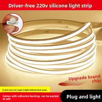 Bande lumineuse LED néon étanche IP65, température de couleur 3000K/4000K/6500K, durée de vie 3000 heures, tube en silicone flexible pour extérieur