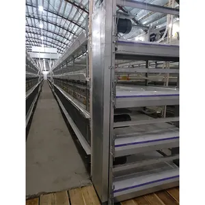 Système de cage automatique pour poulets de chair Ferme avicole à 4 niveaux de type H de conception moderne