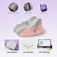 Oreiller de sommeil multifonctionnel en mousse à mémoire de forme OEM/ODM, soutien de la nuque, anti-bactérien, non toxique, personnalisable par le fabricant