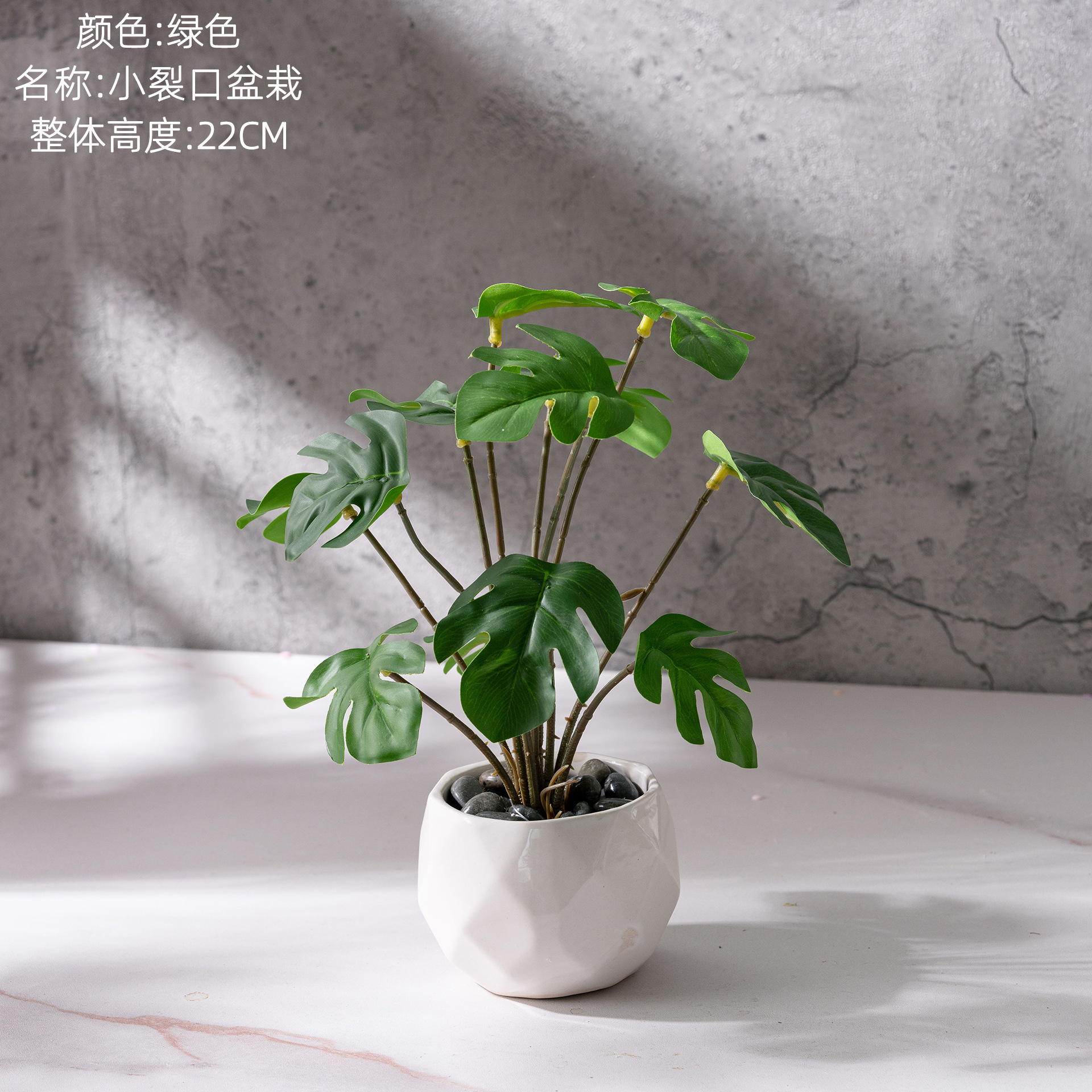 Petite plante en pot fissurée