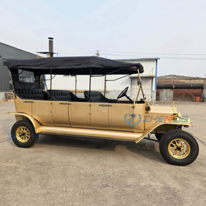 Carrito de Golf Eléctrico Retro Clásico de 6 Plazas con Color Personalizado, Homologado para Circular por la Calle, con Batería de Plomo-Ácido - Product Image 3