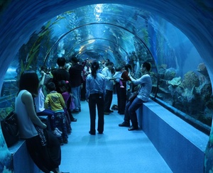 Cửa Sổ Quan Sát Đường Hầm <span class=keywords><strong>Acrylic</strong></span> Tàu Ngầm Của Bể Cá <span class=keywords><strong>Acrylic</strong></span> - Product Image 5