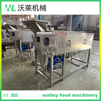 Industriële continue gemotoriseerde roestvrijstalen was- en schilmachine voor fruit, groenten, maïs, zoete aardappel, taro en kiwi (aanbieding)