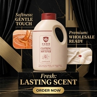 Lessive liquide adoucissante en vrac OEM Pinstripe Oat Brick, parfum longue durée, fraîcheur, produits de nettoyage