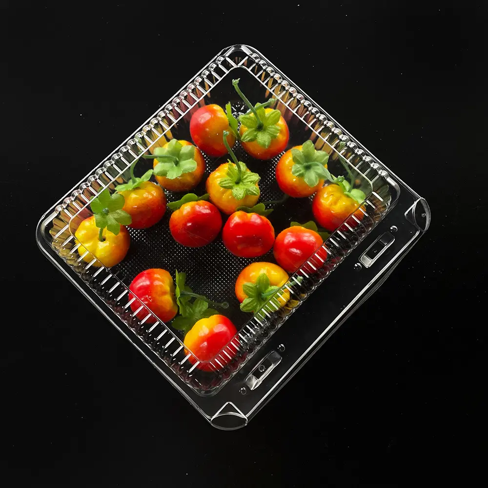 Venta al por mayor de plástico PET transparente desechable Fruit Clamshell Punnet Box Berry Packaging Containers