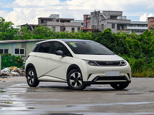 Pour BYD 2024 Seagull 305 KM voiture électrique pour Dolphin <span class=keywords><strong>Mini</strong></span> 405km nouveau véhicule énergétique <span class=keywords><strong>Mini</strong></span> Carro Elétrico - Product Image 6