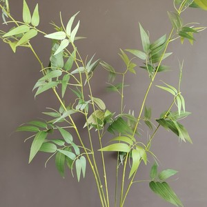 Faux tige <span class=keywords><strong>de</strong></span> bambou artificielle, branche <span class=keywords><strong>de</strong></span> feuille <span class=keywords><strong>de</strong></span> bambou artificielle, tiges <span class=keywords><strong>de</strong></span> <span class=keywords><strong>verdure</strong></span> artificielle pour remplissage <span class=keywords><strong>de</strong></span> vase, décoration <span class=keywords><strong>de</strong></span> maison, bureau et style zen - Product Image 4