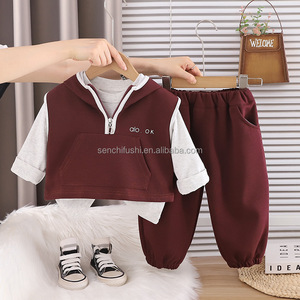Ensemble de trois vestes à capuche décontractées pour bébé garçon, 100% coton, style étranger, printemps-automne, pas cher - Product Image 3
