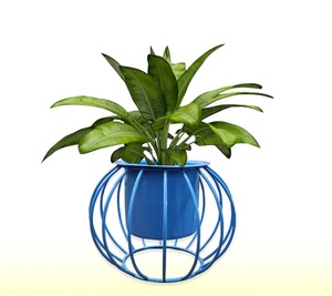 High Quality Smooth Body Metal <b>Planter</b> with Shiny Look Best for Herbs <b>Succulents</b> & Small Indoor Greenery for Exports Selling - Product Image 5