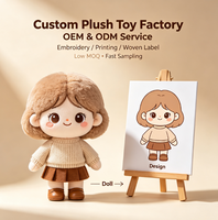 Peluche personnalisée pour la remise des diplômes, jouet en peluche sur mesure, cadeau de remise des diplômes, fabricant OEM ODM