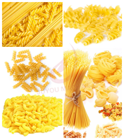 Machine à fabriquer des linguines à haute efficacité JUYOU Spaghetti Macaroni Ligne de production Machine extrudeuse de pâtes
