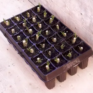 made in china forestry tree seedling trays seed starter tray kit