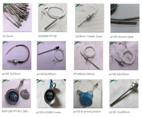 Sensor de temperatura de resistencia térmica, la mejor serie Top1 Pt100 Pt1000 Pt500 Ni120