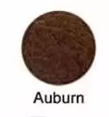 Auburn
