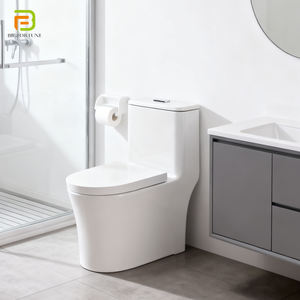 Vente en gros <span class=keywords><strong>d</strong></span>'usine, toilettes en céramique à siphon, toilettes monobloc à siphon pour salle de bain, hôtel - Product Image 1