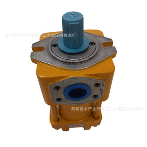 Bomba de engranajes internos Nt, bomba de aceite de 350 bar, sistema hidráulico de 1 etapa, eje horizontal de hierro fundido - Product Image 2