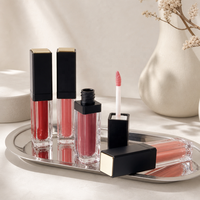 Gloss à lèvres liquide végétalien en tube rectangulaire transparent avec capuchon carré noir mat, applicateur floqué et plaque supérieure dorée, teintes rouge baie, vente en gros