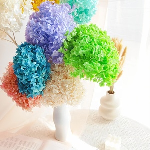 <span class=keywords><strong>Hortensia</strong></span> séchée conservée, <span class=keywords><strong>fleurs</strong></span> volumineuses <span class=keywords><strong>séchées</strong></span> Anna <span class=keywords><strong>hortensia</strong></span>, décorations de mariage, <span class=keywords><strong>hortensia</strong></span> pagode, vente en gros, 2023 - Product Image 2
