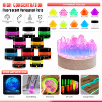 TIMESRUI Pigment Fluorescent Liquide de Haute Qualité pour Résine Époxy, Pâte Colorante Néon 10 Couleurs pour Pigments Cuir, Bricolage et Cadeaux