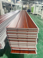 Placas de Techo de PVC Duraderas de 250 mm x 8 mm, Antimoho, Resistentes a la Humedad, para Proyectos Comerciales, Precio al por Mayor, Proveedor Profesional