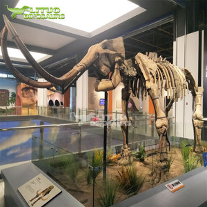 Kích thước thực Mô hình bộ xương động vật khổng lồ để bán - Product Image 2