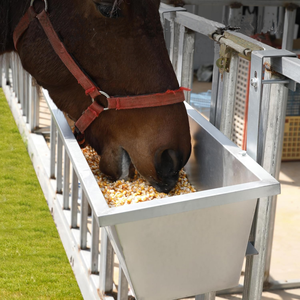 Customize Long <span class=keywords><strong>Abreuvoir</strong></span> d'alimentation pour bétail <span class=keywords><strong>Abreuvoir</strong></span> à chevaux en <span class=keywords><strong>acier</strong></span> <span class=keywords><strong>galvanisé</strong></span> pour bétail cheval bétail <span class=keywords><strong>vache</strong></span> cochon alpaga - Product Image 2