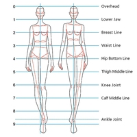 Règle de dessin de mode, règle de modèle d'illustration, règle esthétique scolaire, règle de conception de couture, outils de couture