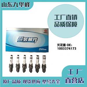 Bujía Weichai 1003374173 para motor diésel WP15S National VI con punta de iridio - Product Image 5