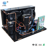 Unités de condenseur et d'évaporateur pour chambre froide disponibles Systèmes de compression de refroidissement pour magasins d'aliments et de boissons