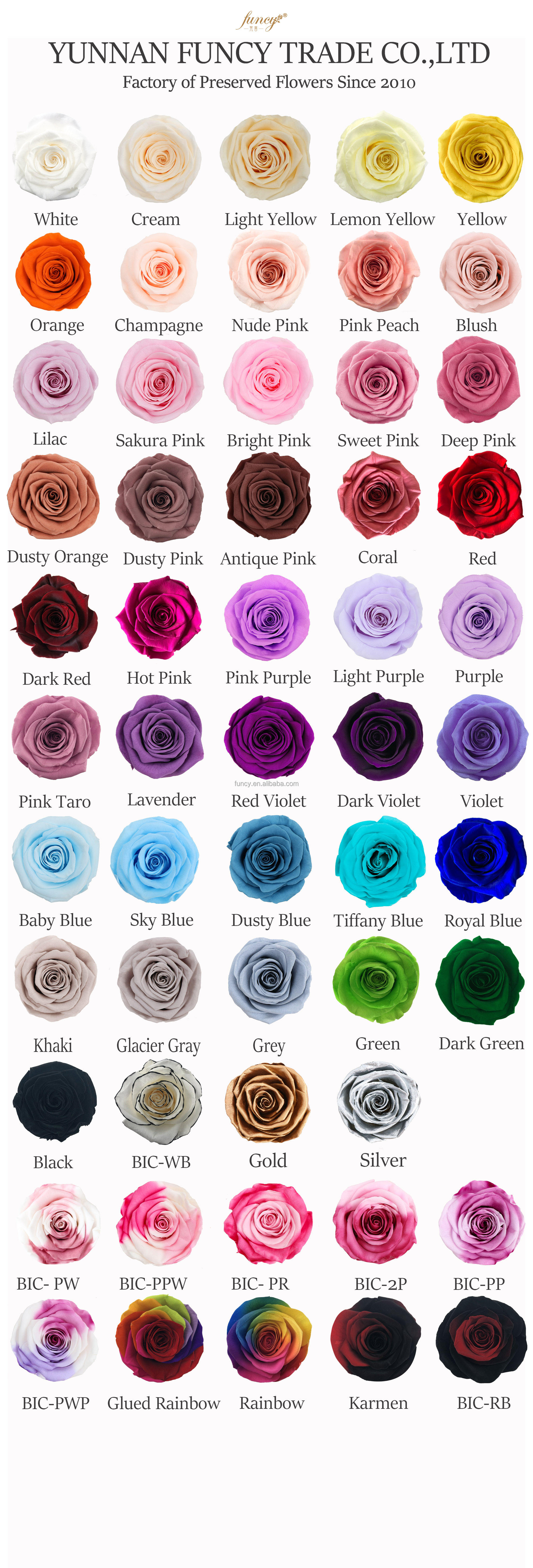 D'autres couleurs choisissent du diagramme de couleur