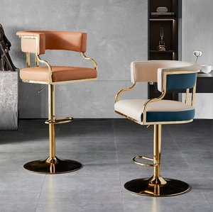 Modern Luxury Minimalist Metal Frame Chair for Dining Living Room <b>Bathroom</b> Bedroom for Bar Negotiation Waiting Areas - Product Image 5