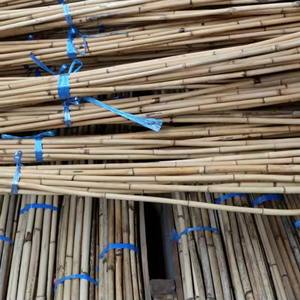 CH Global's Best Selling Small-Size Natural Raw Rattan Cane Furniture Handicrafts Pattern for <b>Agriculture</b> <b>Greenhouses</b> - Product Image 2