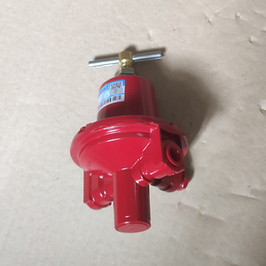 Regulador Neumático REGO 597FA de Alta Presión para Quemadores de Gas Industriales, Calentadores de GLP y Válvulas Reductoras 597F - Product Image 3