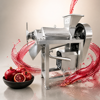 Industriële kleine model koude pers fruit sinaasappel citroen groente spiraal mango sapcentrifuge productielijn machine motor hoog