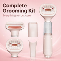 Aspirateur de toilettage pour animaux tout-en-un : séchage et élimination des poils en une seule étape pour la toilettage et le nettoyage à domicile – Approvisionnement direct usine